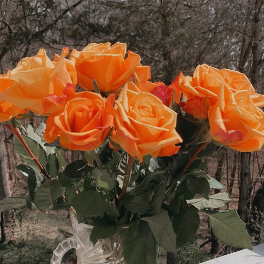 Meet your Posher, Carmen